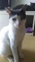 JOHN