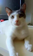 JOHN