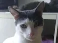JOHN