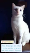 PRÍNCIPE