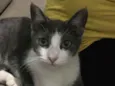 Tina