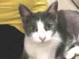 Tina