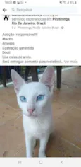 Billy