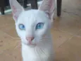 Billy