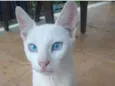 Billy