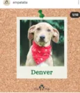 Denver