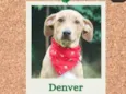 Denver