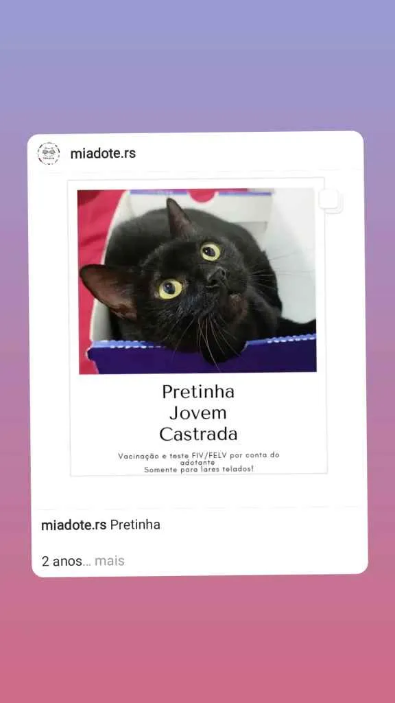 Gato ra a Srd idade 2 anos nome Pretinha