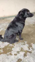 nina
