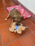 Maggie