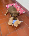 Maggie