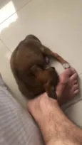Maggie