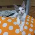 Não sei