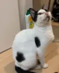 Não sei