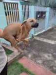Ainda não tem