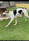 Zeus