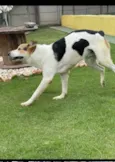 Zeus