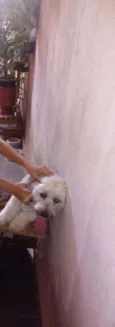 Bolota