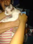 Não tem ainda 