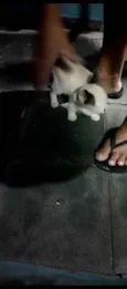 Não tem ainda 