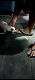 Não tem ainda 