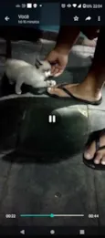 Não tem ainda 