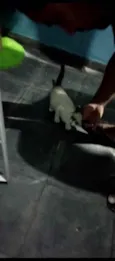 Não tem ainda 