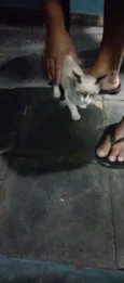 Não tem ainda 