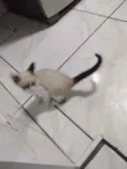 Não tem ainda 