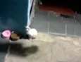 Não tem ainda 