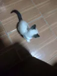 Não tem ainda 