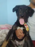 Pretinho