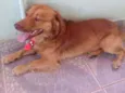 LUCK