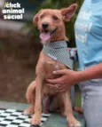 BOB