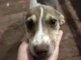 Ainda não tem