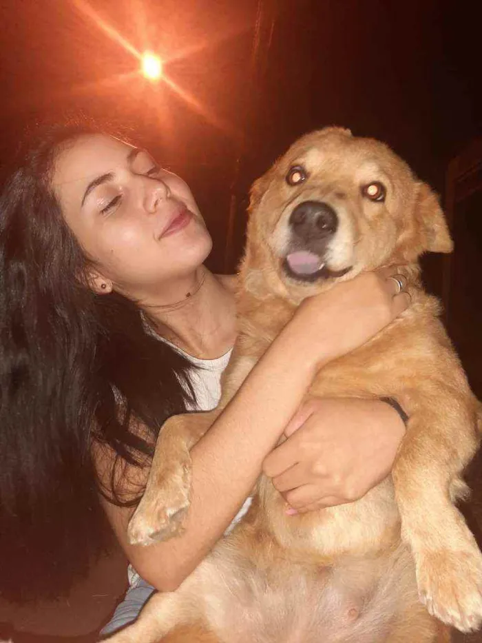 Cachorro ra a SRD idade 4 anos nome Mel