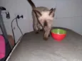 Doçura