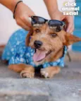 BOB