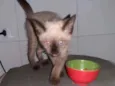 Doçura