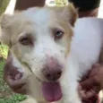 FÁBIO