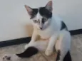 Meuri
