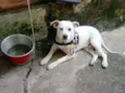 Banco