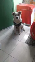 Banco