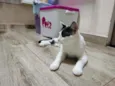 Kira