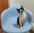 Nina