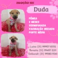 Duda