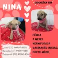 Nina