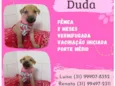Duda