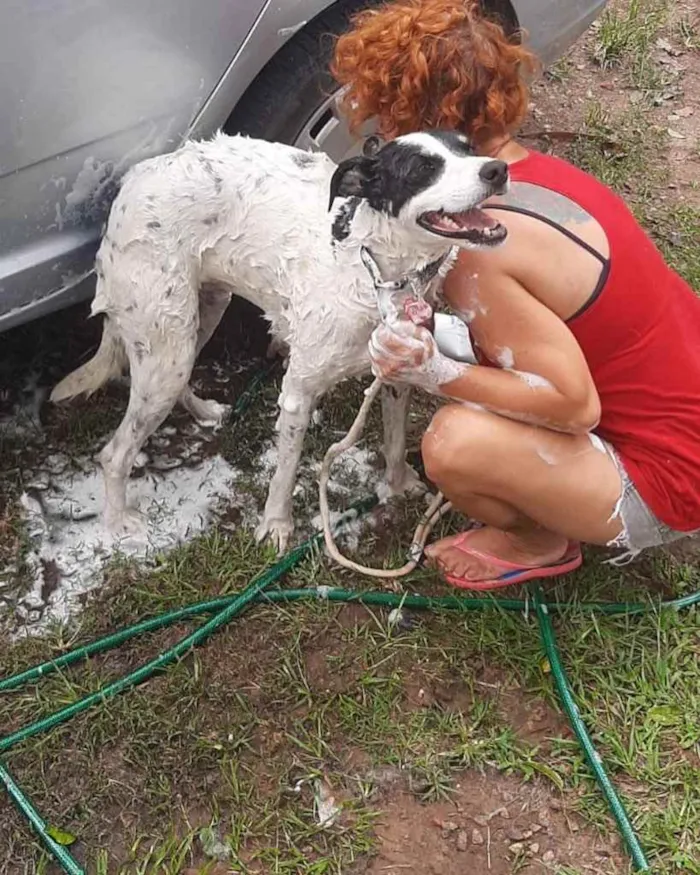 Cachorro ra a  idade 2 anos nome Não sei 