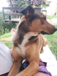 Scooby